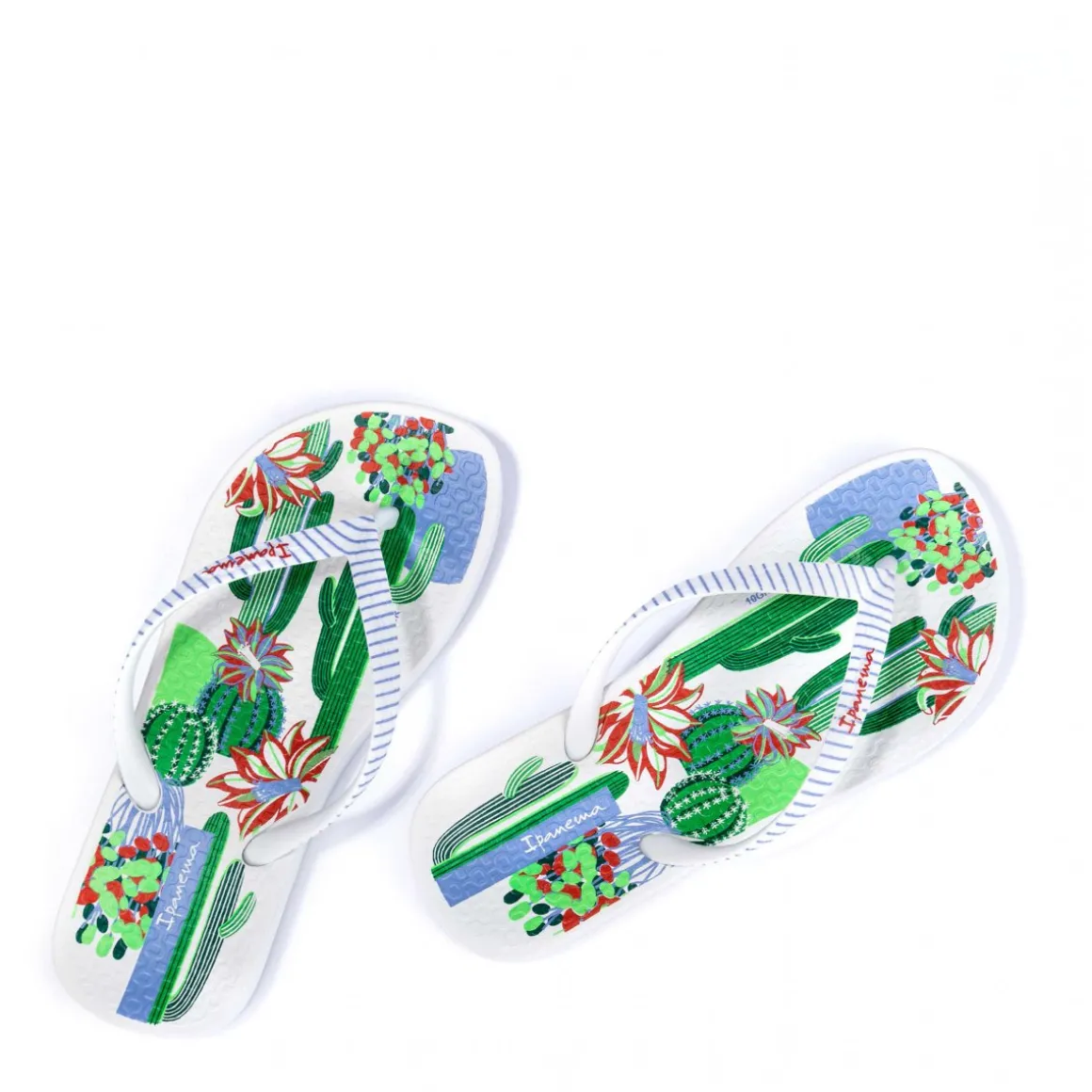 Ipanema Anatomica Cactus Kids