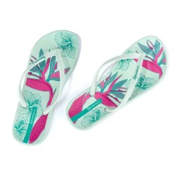 Ipanema Anatomica Temas XV Donna