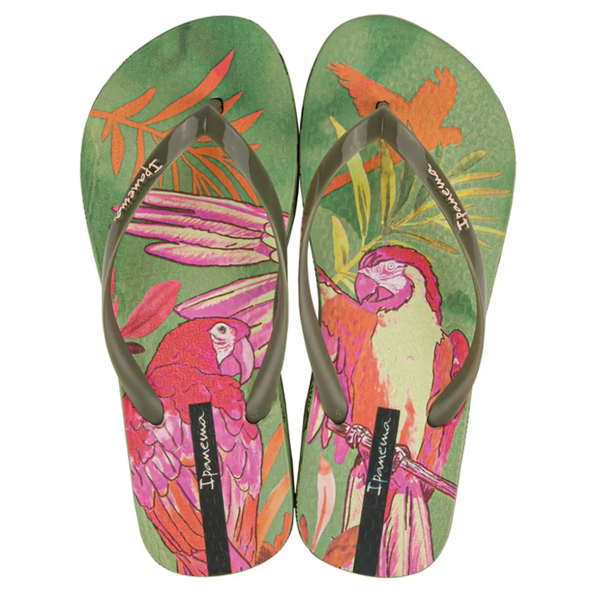 Ipanema Sem Igual Donna