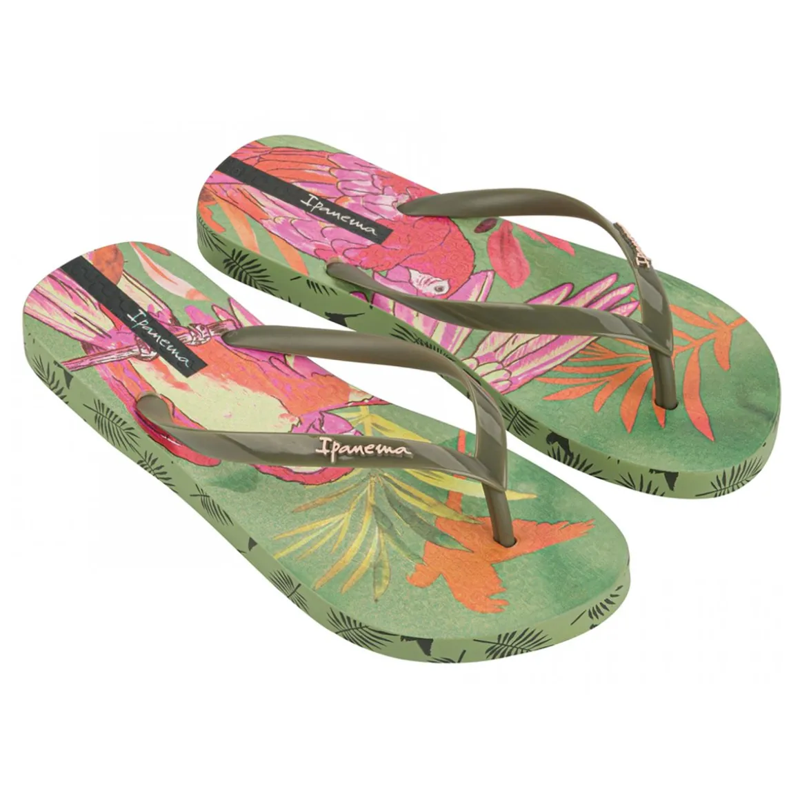 Ipanema Sem Igual Donna