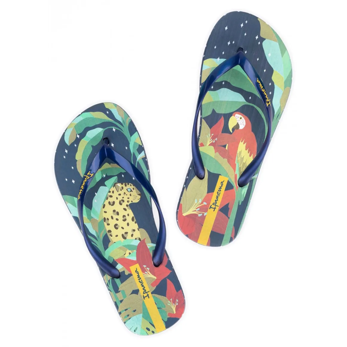 Ipanema Sem Igual Donna