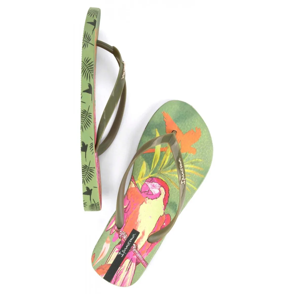 Ipanema Sem Igual Donna